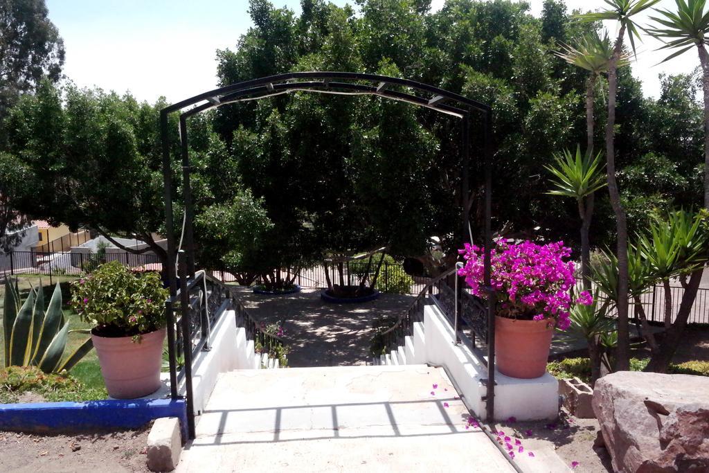 Quinta Los Arrayanes Hotel Ensenada Eksteriør billede