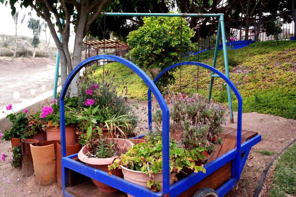 Quinta Los Arrayanes Hotel Ensenada Eksteriør billede