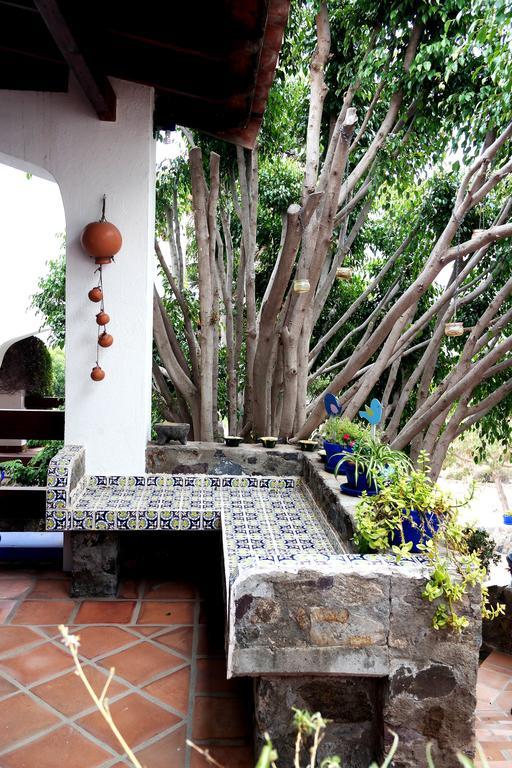 Quinta Los Arrayanes Hotel Ensenada Eksteriør billede